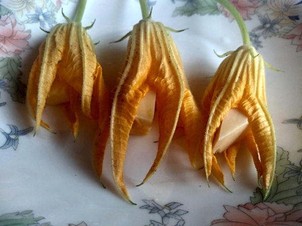 Kráľovským syrom plnené tekvicové kvety vo vínovom cestíčku (fotorecept) - obrázok 5