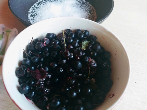 Panvicové morčacie výpečky s omáčkou z čiernych ríbezlí (fotorecept) - obrázok 11