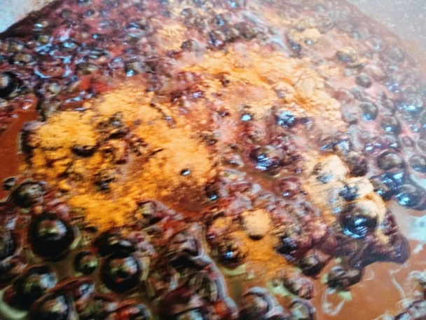 Panvicové morčacie výpečky s omáčkou z čiernych ríbezlí (fotorecept) - obrázok 14