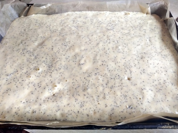 Makovo-slivkové rezy so šľahačkou (fotorecept) - obrázok 3