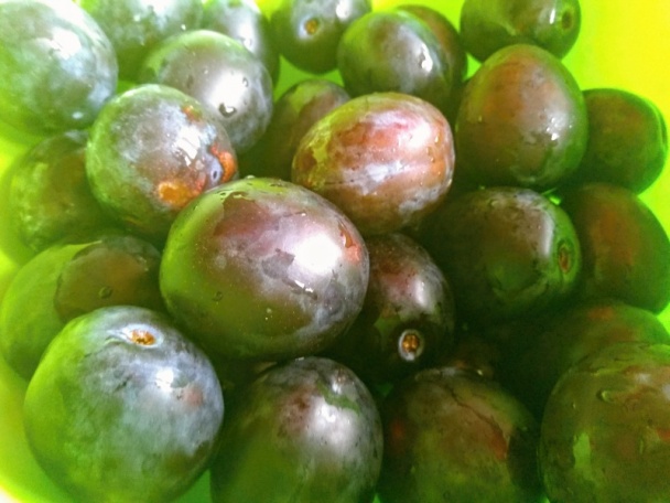 Makovo-slivkové rezy so šľahačkou (fotorecept) - obrázok 8