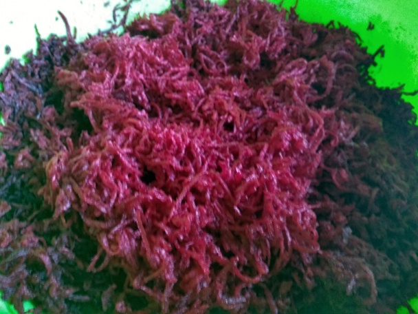 Cviklový lekvár s hruškovicou a škoricovým cukrom (fotorecept) - obrázok 2