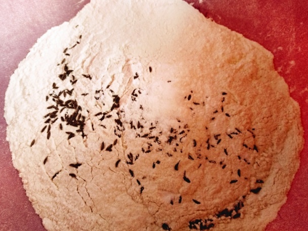 Langoše ako ich pripravujem teraz (fotorecept) - obrázok 1