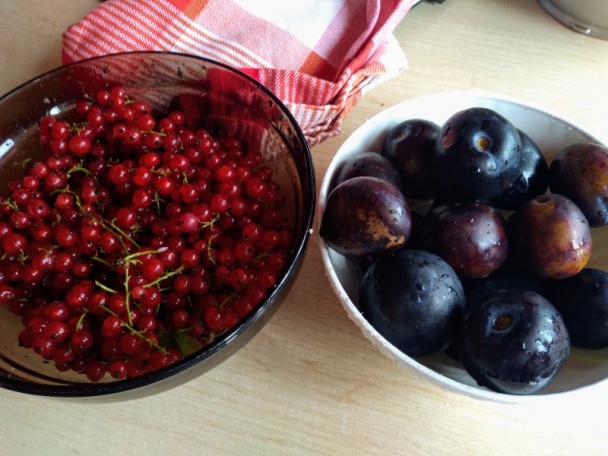 Maková bublanina so slivkami a ríbezľami (fotorecept) - obrázok 4