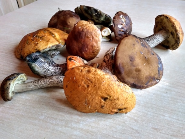 Kozákový perkelt (fotorecept) - obrázok 1