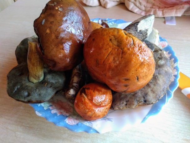 Kozákový perkelt (fotorecept) - obrázok 2