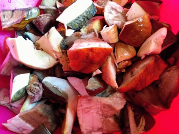 Kozákový perkelt (fotorecept) - obrázok 3