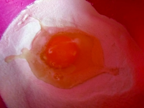 Zašmúraný regiment (fotorecept) - obrázok 1