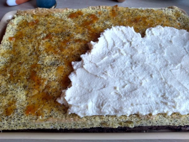 Kakaovo-makové rezy s krupicovým krémom (fotorecept) - obrázok 8