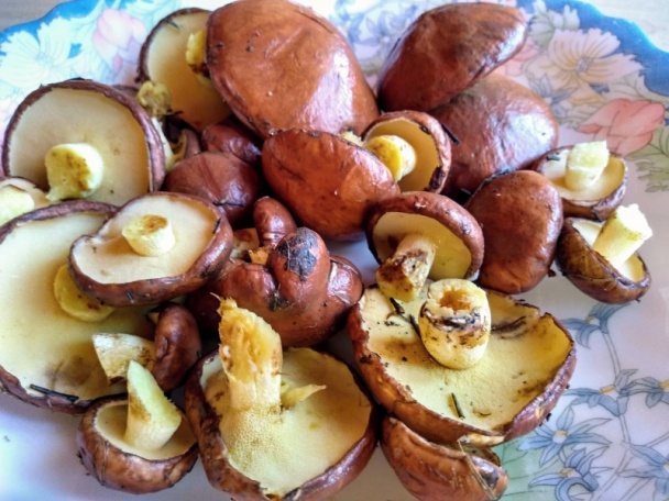 Masliakovo-krúpové rizoto s bielym vínom (fotorecept) - obrázok 1