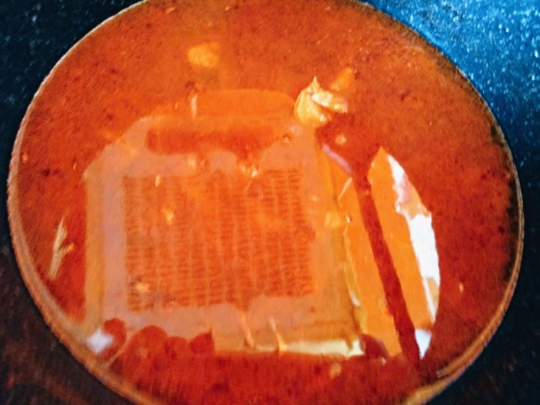 Kurací perkelt s lesnými hríbmi (fotorecept) - obrázok 5