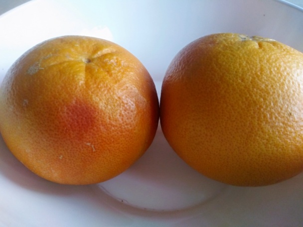 Grapefruitové svieženky (fotorecept) - obrázok 4
