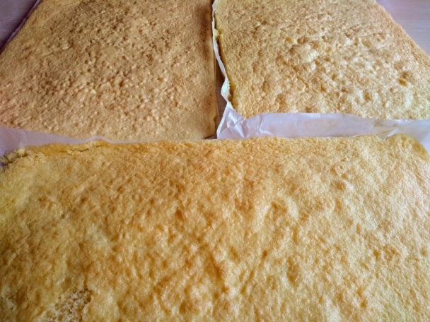 Amadine albe (fotorecept) - obrázok 3