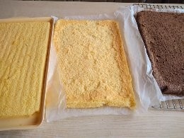 Jamajka rezy (fotorecept) - obrázok 4