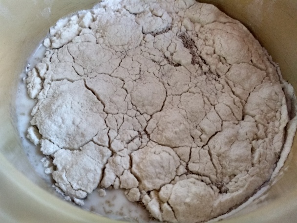 Domáce kysnuté uzlíky so sezamom (fotorecept) - obrázok 1