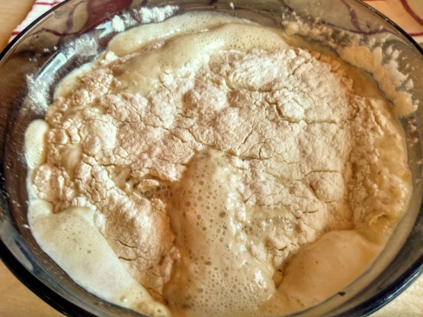 Chrumkavé domáce rožky s rascou (fotorecept) - obrázok 1