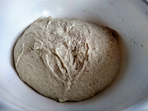 Chrumkavé domáce rožky s rascou (fotorecept) - obrázok 3