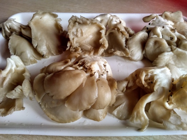 Vyprážaný hlivový trs v smotanovom cestíčku (fotorecept) - obrázok 1