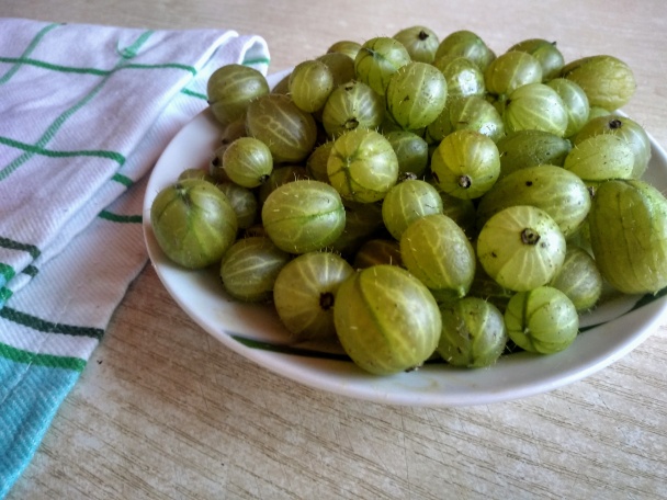 Opečená plnená prepelica s griotkou a karamelizovaným egrešom (fotorecept) - obrázok 9