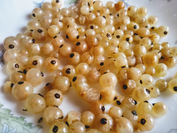 Pod kožou plnené pečené kuracie stehno s ríbezľovým prelivom (fotorecept) - obrázok 14