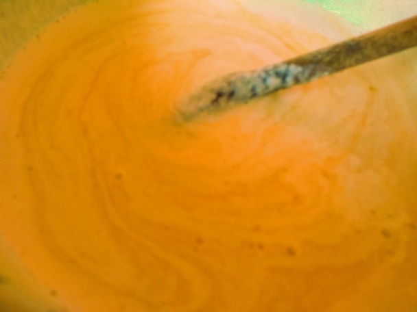 Tosca rezy (fotorecept) - obrázok 8