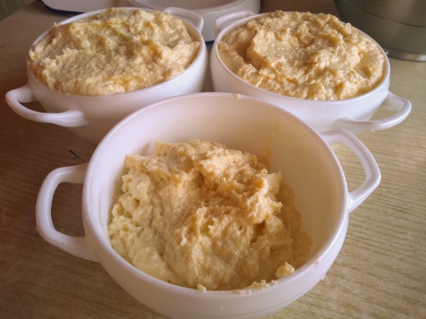 Tosca rezy (fotorecept) - obrázok 9