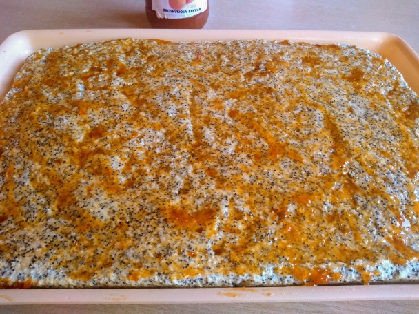 Tosca rezy (fotorecept) - obrázok 10