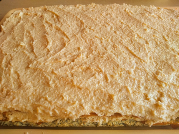 Tosca rezy (fotorecept) - obrázok 11