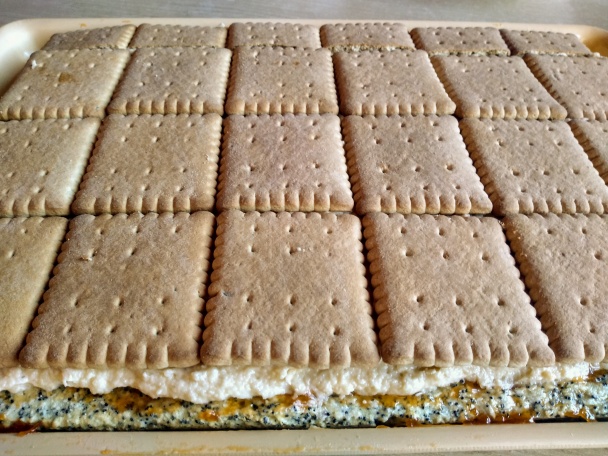 Tosca rezy (fotorecept) - obrázok 12