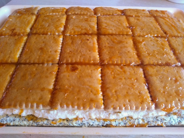 Tosca rezy (fotorecept) - obrázok 13