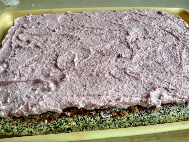 Juliana rezy (fotorecept) - obrázok 8