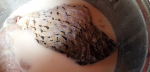 Filety z kapra na tokajskom víne so saturejkou (fotorecept) - obrázok 1