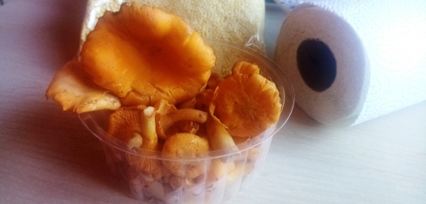 Hovädzia roštenka s kuriatkami (fotorecept) - obrázok 8