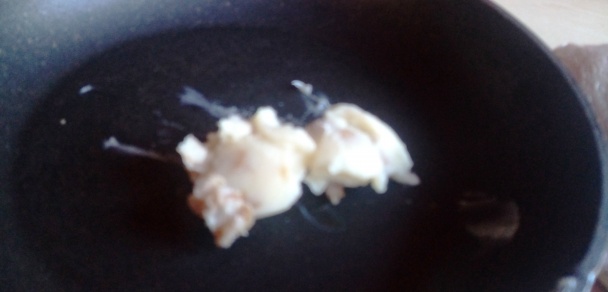 Opečená kačacina a parenicou plnený kačací krk (fotorecept) - obrázok 6