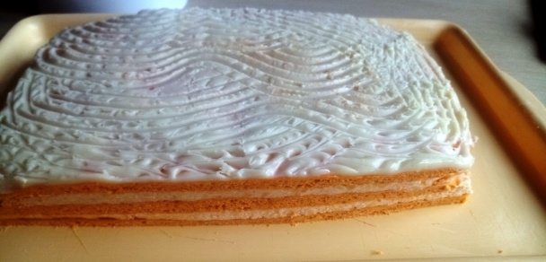 Paradajkové rezy (fotorecept) - obrázok 12