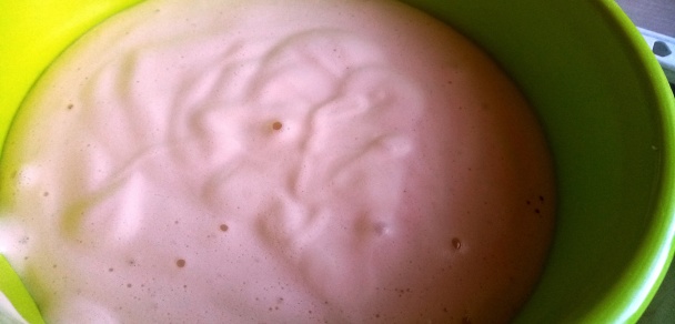 Kakaovo-orechové rezy s rumom (fotorecept) - obrázok 1