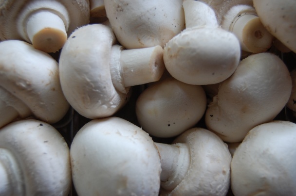 Hríby marinované - Grzyby marynowane - obrázok 1