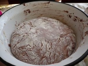 Zebra rohlíčky (fotorecept) - obrázok 3