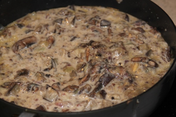 Baklažánovo-hubový stroganov (fotorecept) - obrázok 5