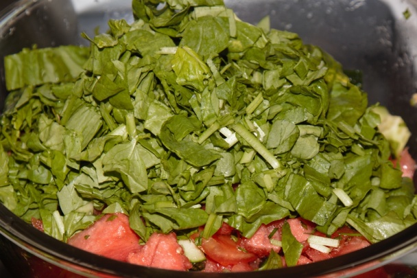 Letný melónový šalát (fotorecept) - obrázok 4