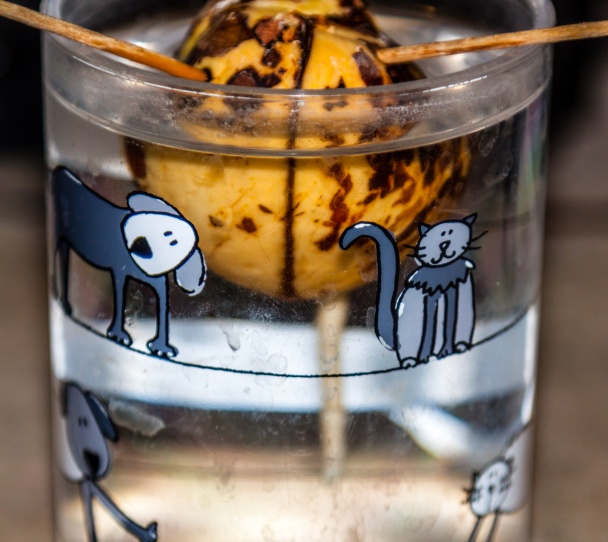 Špagety s kuracím mäsom a špenátom (fotorecept) - obrázok 9