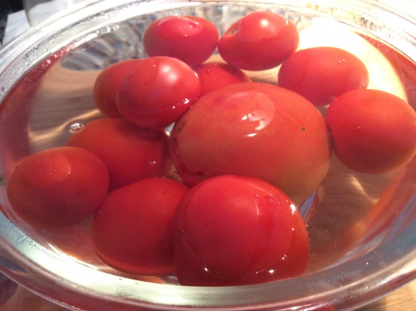 Gazpacho (fotorecept) - obrázok 2