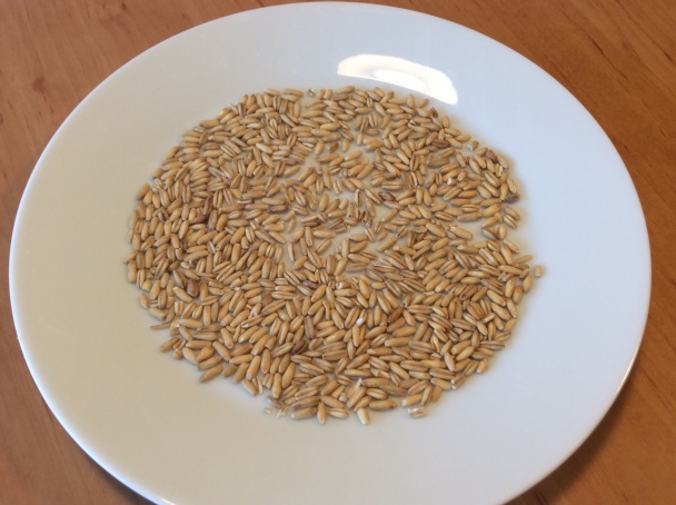 Ovsená kaša (fotorecept) - obrázok 2