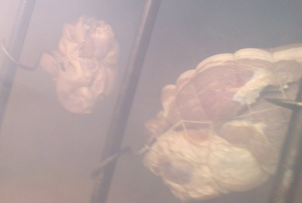 Doma údené bravčové pliecko (fotorecept) - obrázok 3