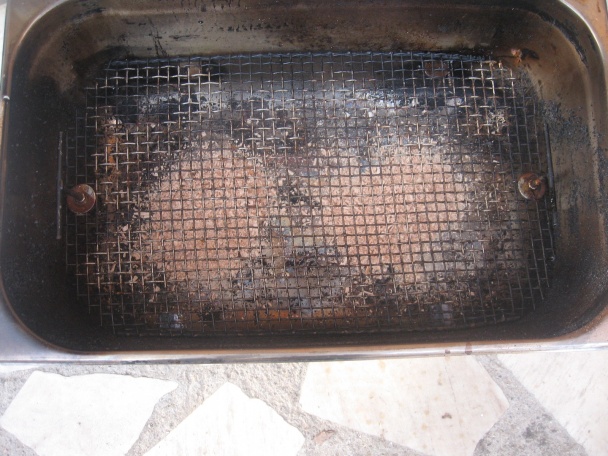 Zlatá rybka - obrázok 2