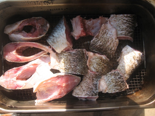 Zlatá rybka - obrázok 3