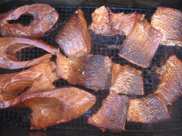 Zlatá rybka - obrázok 5