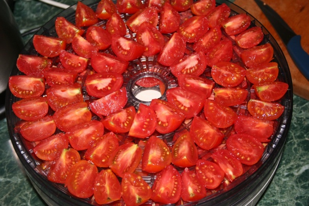 Sušené paradajky - obrázok 1