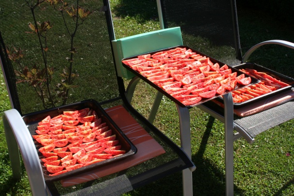 Sušené paradajky - obrázok 2