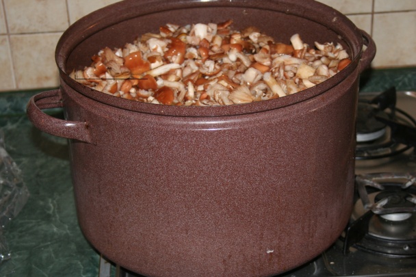 Michalky v octe - obrázok 1